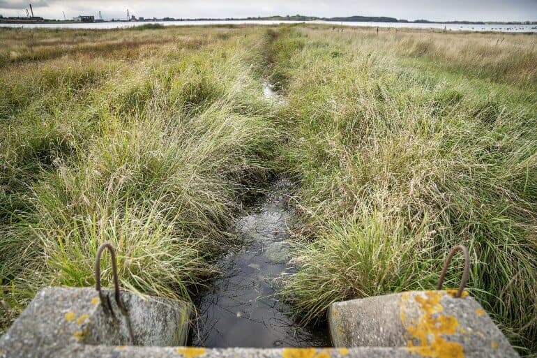 Mads Claus Rasmussen, Ritzau Scanpix