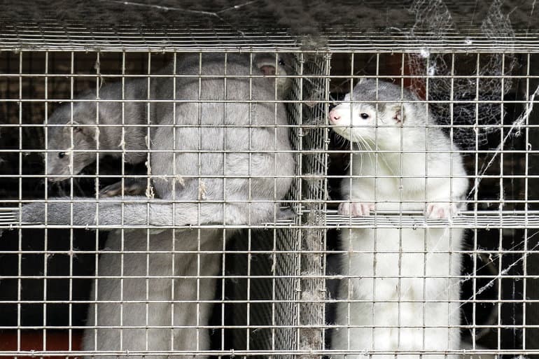 Henning Bagger, Ritzau Scanpix
