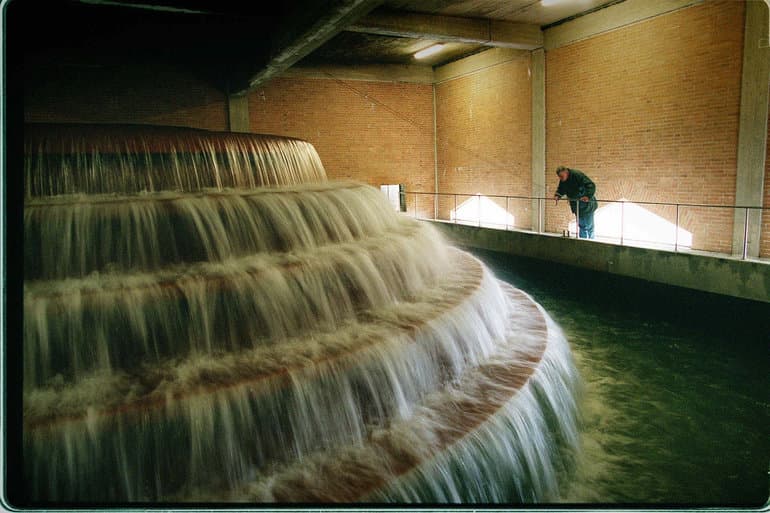 Søren Steffen/Ritzau Scanpix