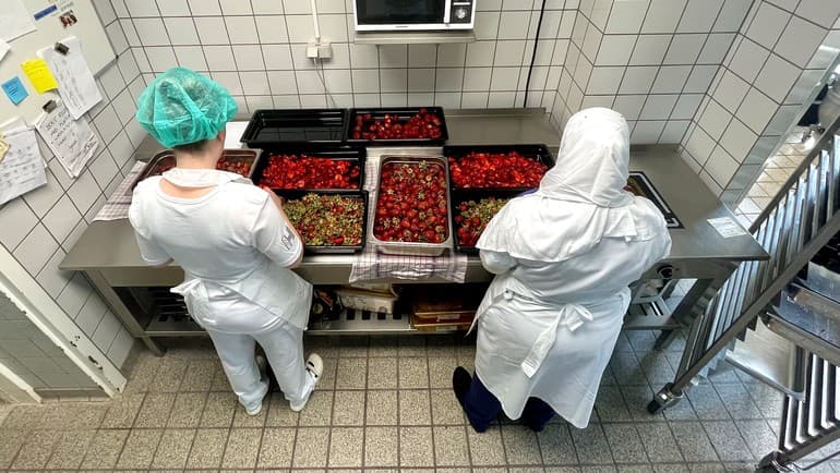 Miljømærkning Danmark