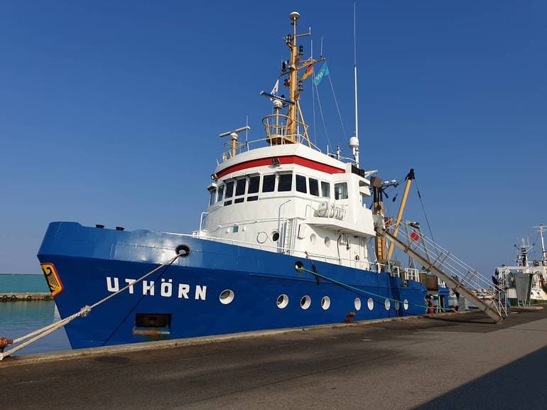 Build, Aalborg Universitet 2024 