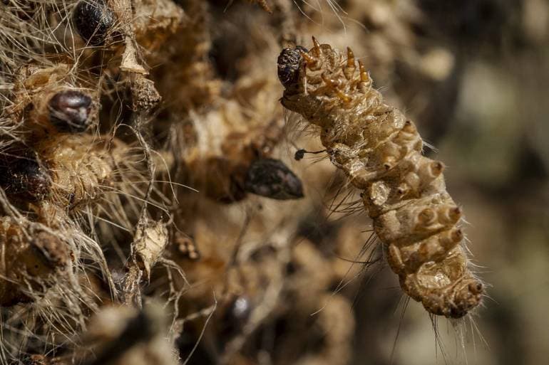 Mads Claus Rasmussen/Ritzau Scanpix