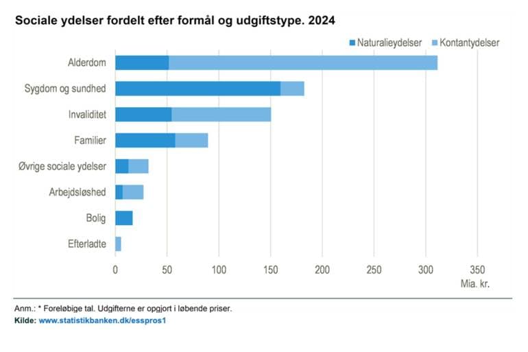 Danmarks Statistik